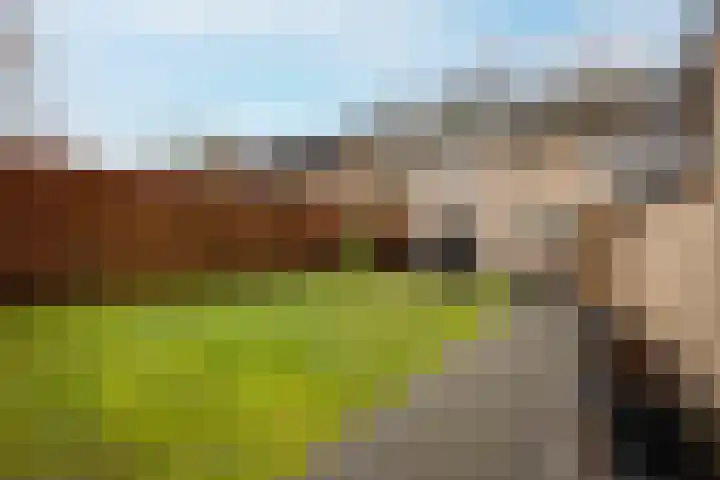 Beukenlaan 10 Haaren thumbnail 32