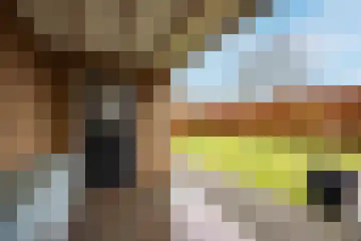 Beukenlaan 10 Haaren thumbnail 35