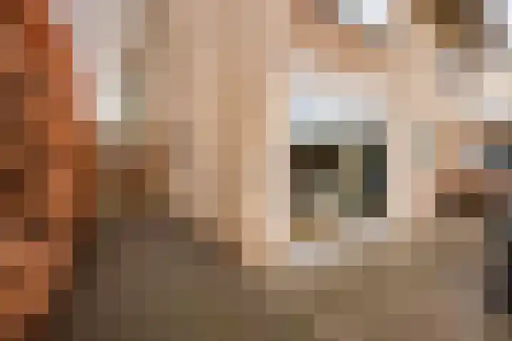 Beukenlaan 10 Haaren thumbnail 36