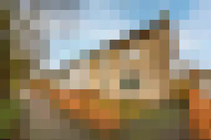 Beukenlaan 10 Haaren thumbnail 37