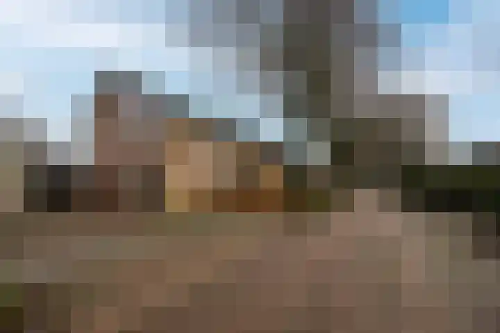 Beukenlaan 10 Haaren thumbnail 38