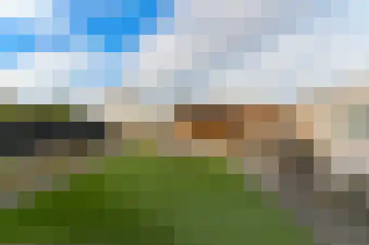 Beukenlaan 10 Heel thumbnail 28