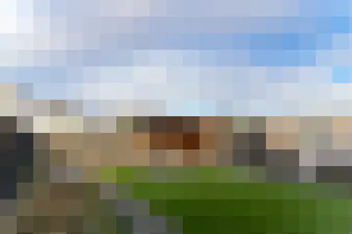 Beukenlaan 10 Heel thumbnail 29