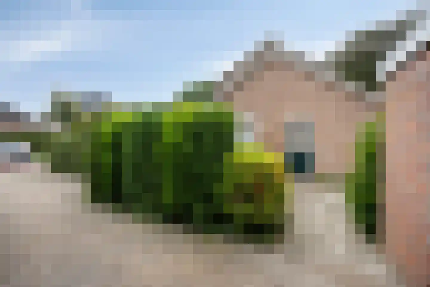 Beukenlaan 10 Nieuwe Pekela thumbnail 12