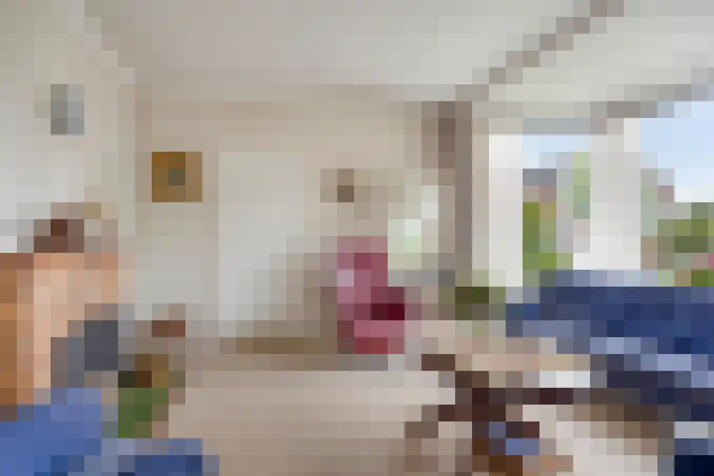 Beukenlaan 10 Nieuwe Pekela thumbnail 16