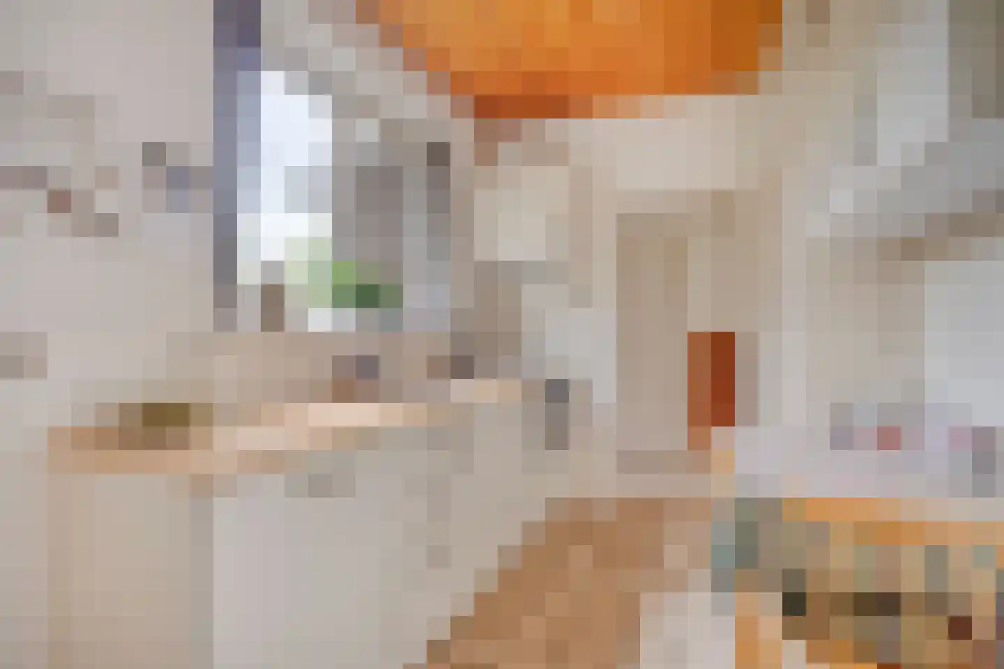 Beukenlaan 10 Nieuwe Pekela thumbnail 21