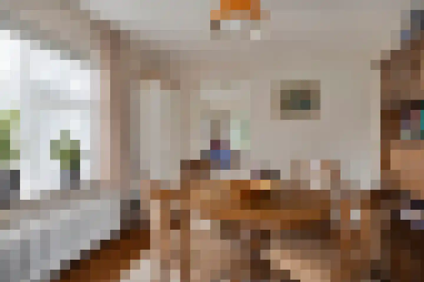 Beukenlaan 10 Nieuwe Pekela thumbnail 26