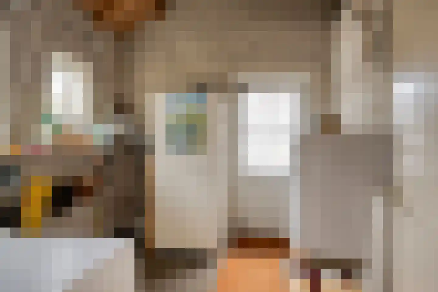 Beukenlaan 10 Nieuwe Pekela thumbnail 27