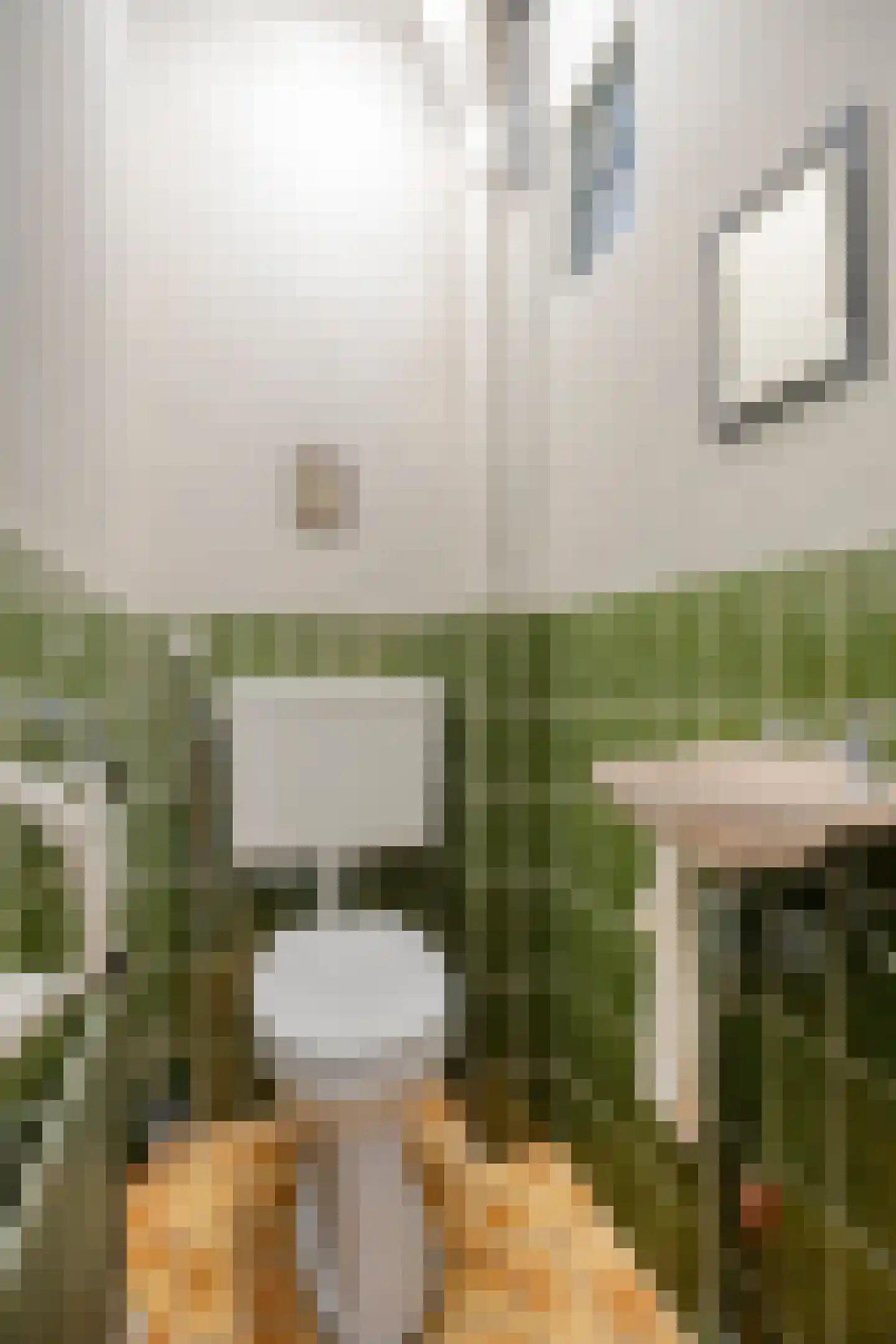 Beukenlaan 10 Nieuwe Pekela thumbnail 29