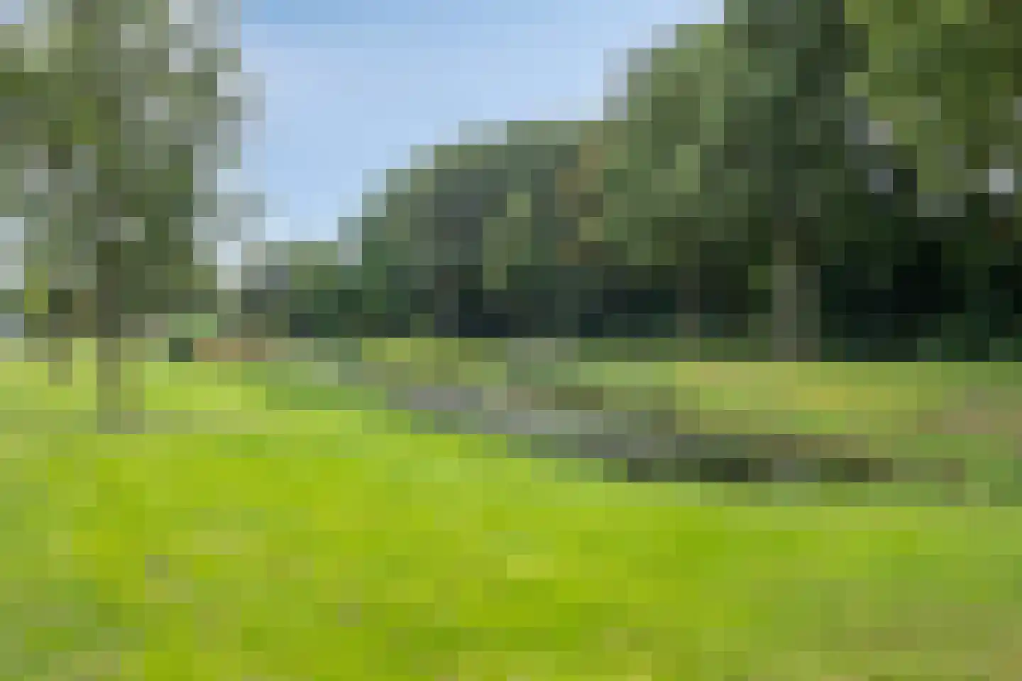 Beukenlaan 10 Nieuwe Pekela foto 3