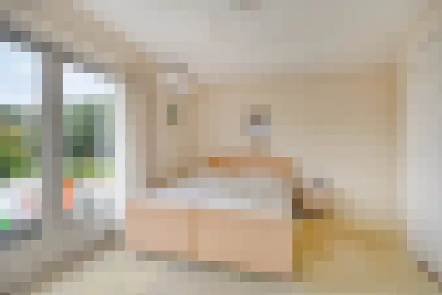 Beukenlaan 10 Nieuwe Pekela thumbnail 33