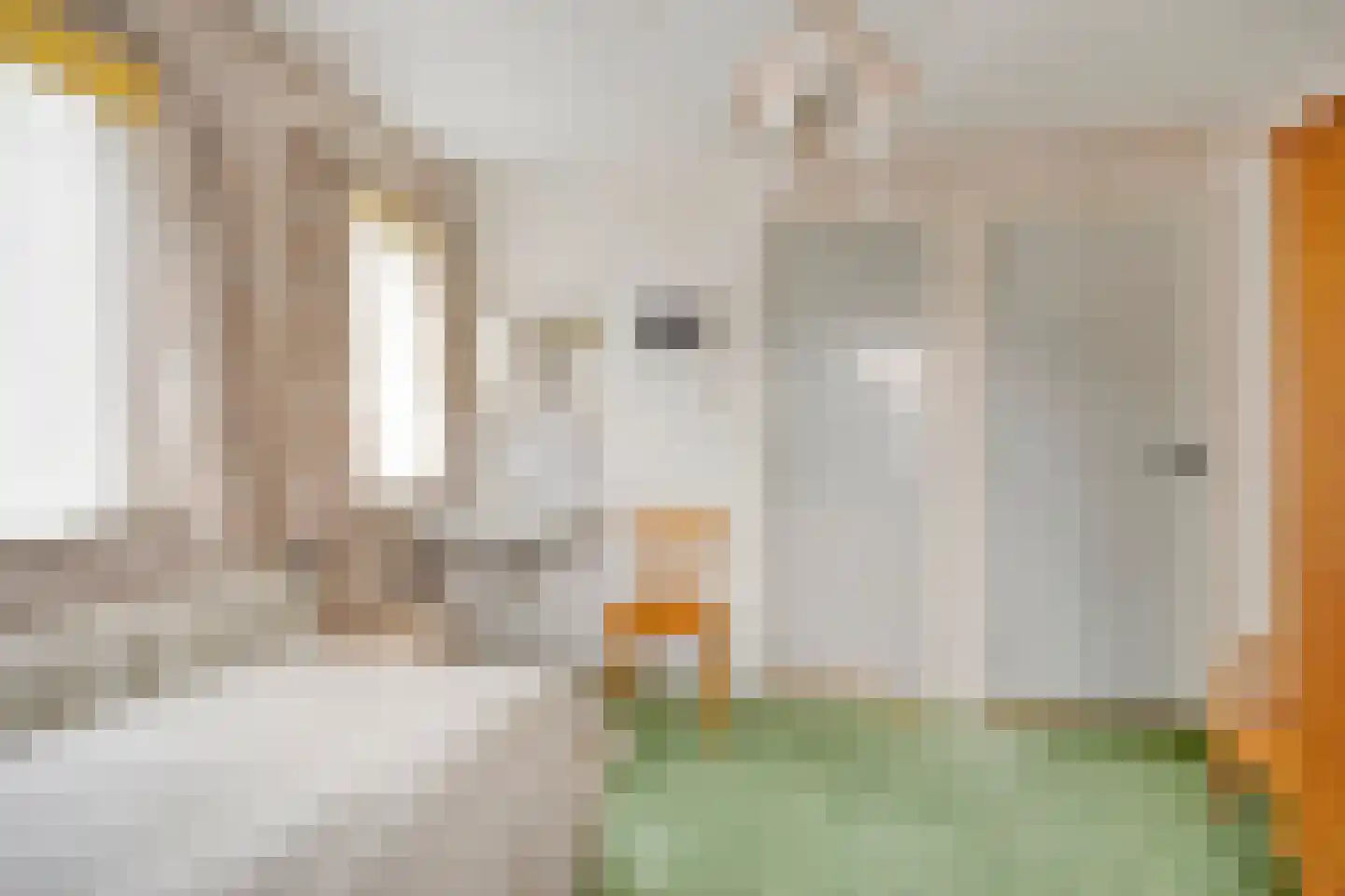 Beukenlaan 10 Nieuwe Pekela thumbnail 39