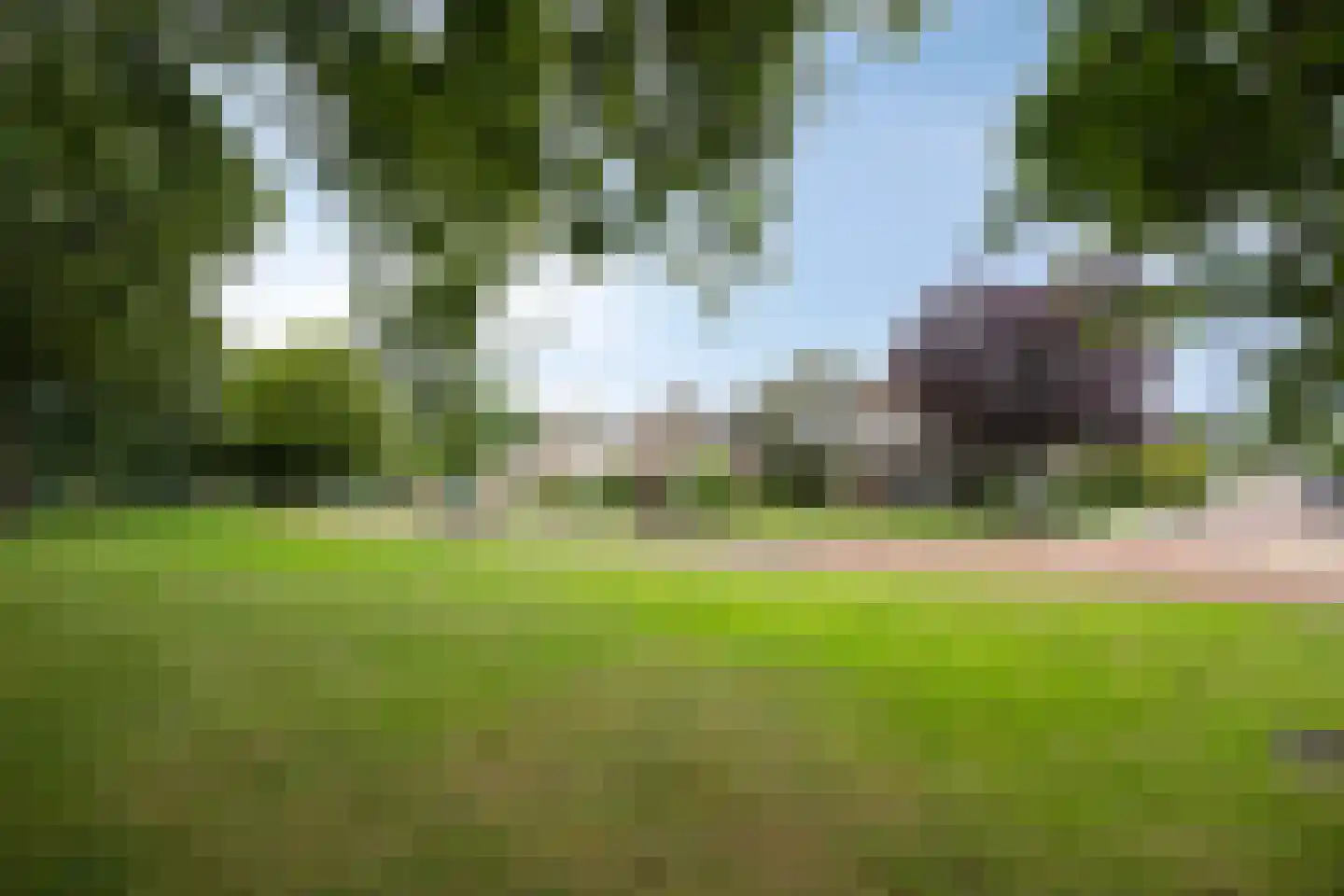 Beukenlaan 10 Nieuwe Pekela thumbnail 4