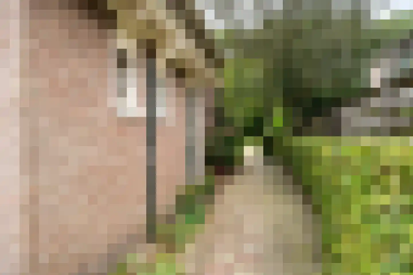 Beukenlaan 10 Nieuwe Pekela thumbnail 45