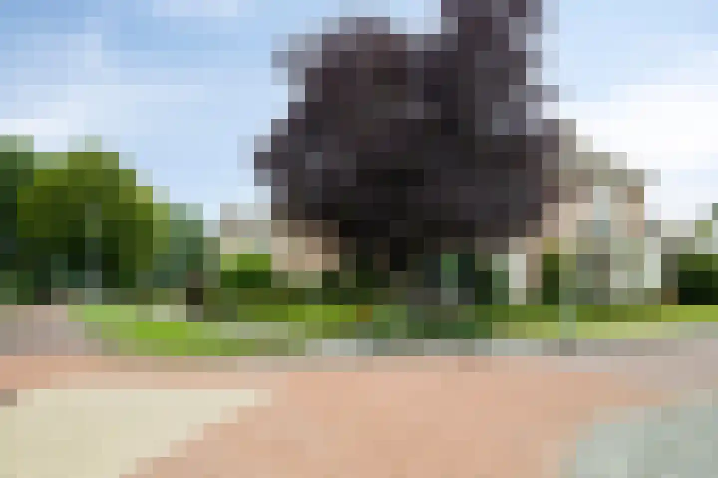 Beukenlaan 10 Nieuwe Pekela thumbnail 6