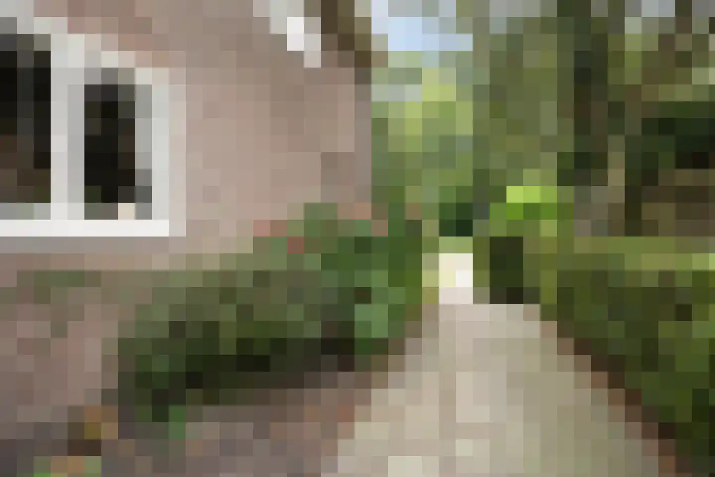 Beukenlaan 10 Nieuwe Pekela thumbnail 7
