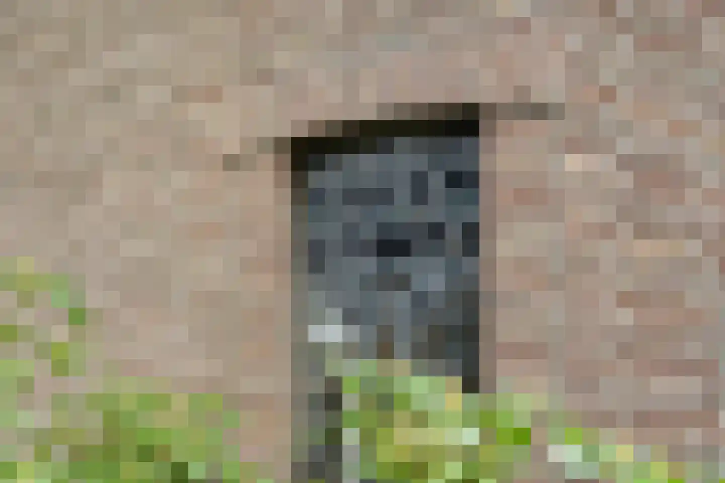 Beukenlaan 10 Nieuwe Pekela thumbnail 8