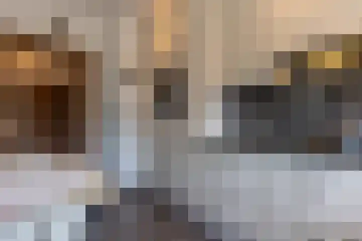 Beukenlaan 10 Sittard thumbnail 14