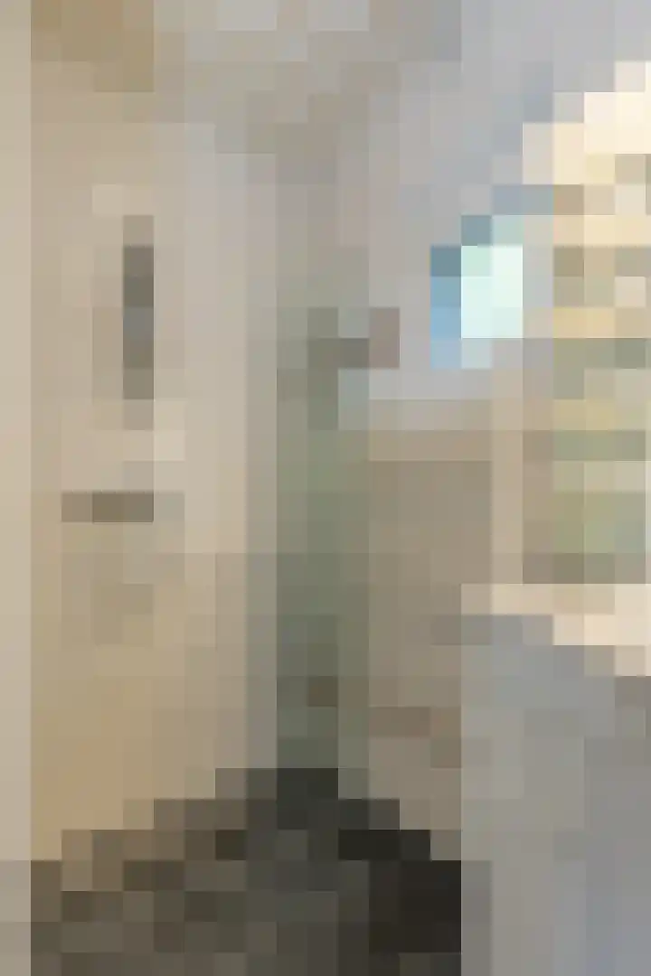 Beukenlaan 10 Sittard thumbnail 16