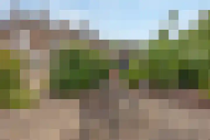 Beukenlaan 10 Sittard thumbnail 23