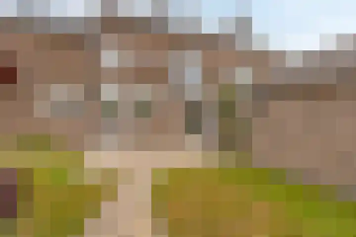 Beukenlaan 10 Sittard thumbnail 24