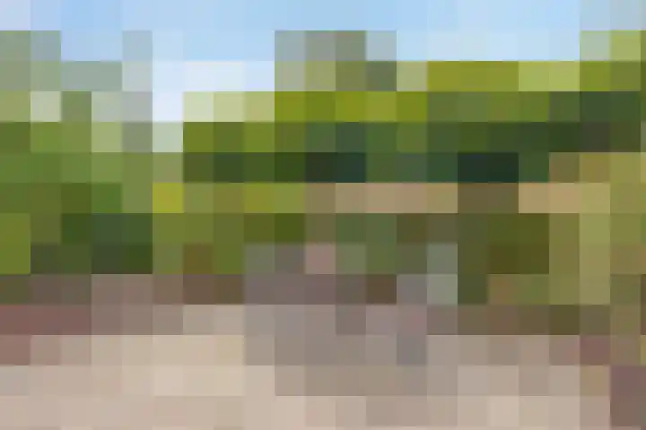 Beukenlaan 10 Sittard foto 3