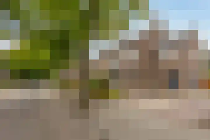 Beukenlaan 10 Sittard thumbnail 5