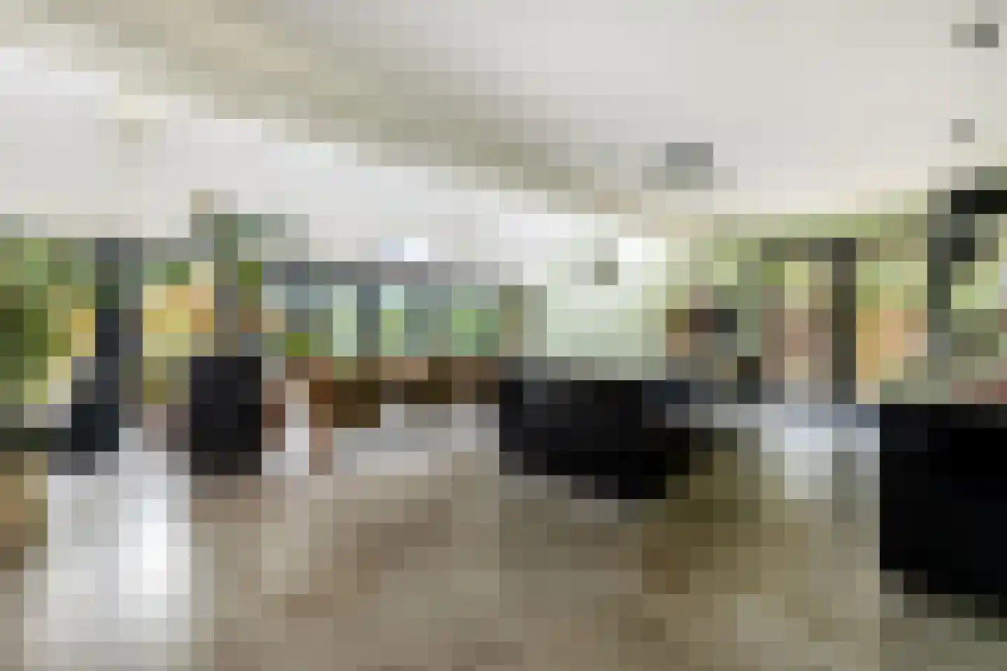 Beukenlaan 10 Valkenswaard thumbnail 12