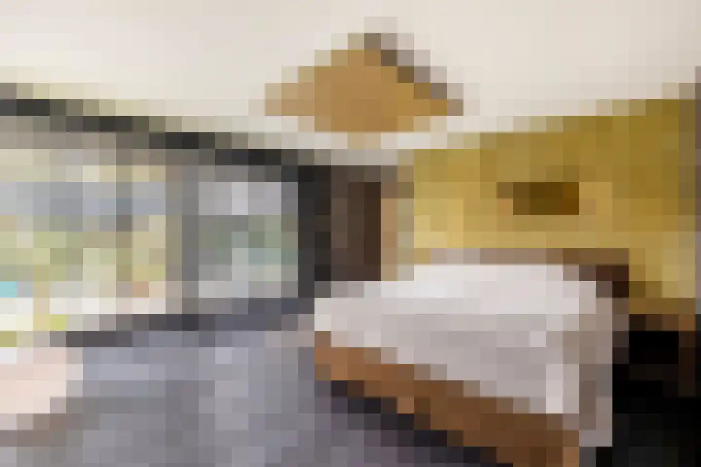 Beukenlaan 10 Valkenswaard thumbnail 18