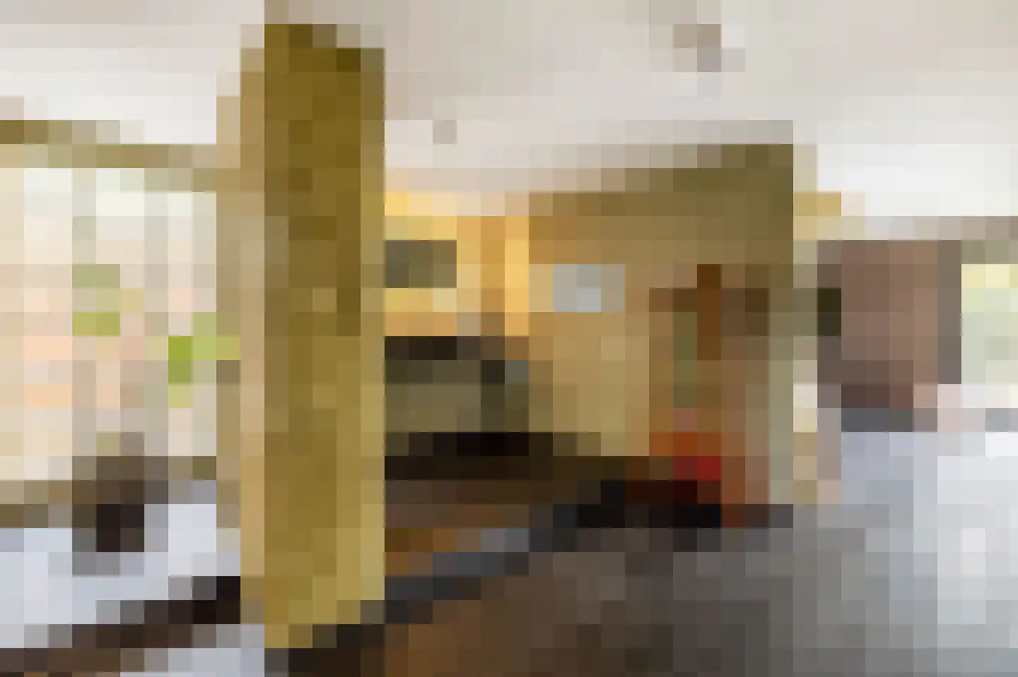 Beukenlaan 10 Valkenswaard thumbnail 20