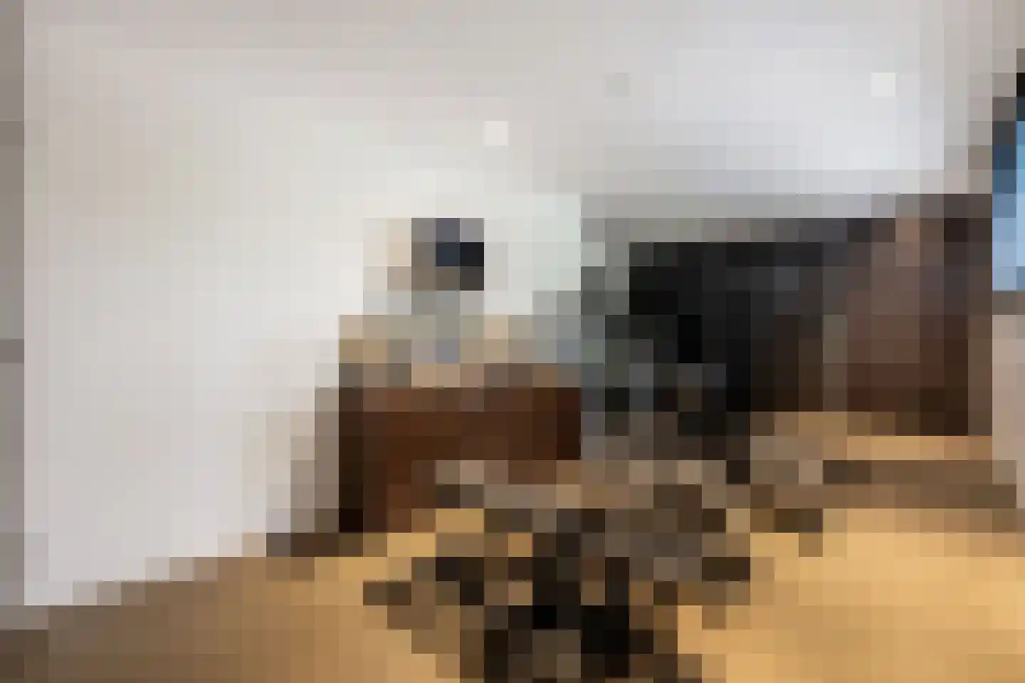 Beukenlaan 10 Valkenswaard thumbnail 25