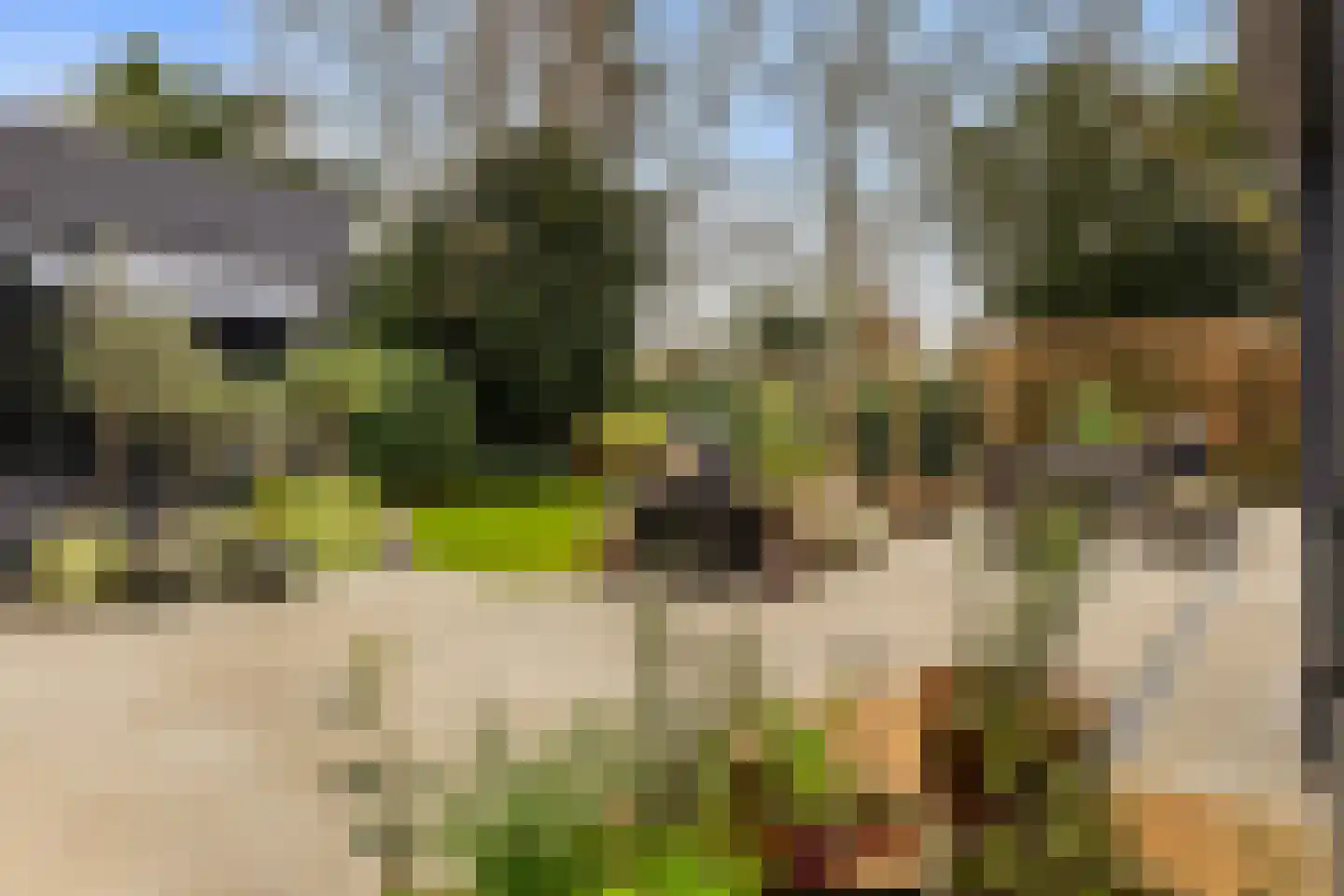 Beukenlaan 10 Valkenswaard thumbnail 32