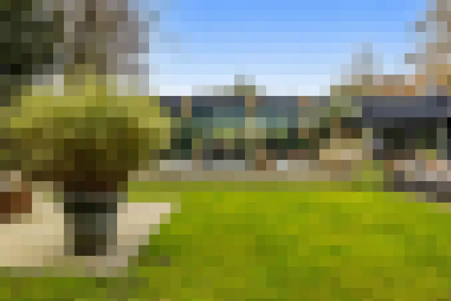 Beukenlaan 10 Valkenswaard thumbnail 35