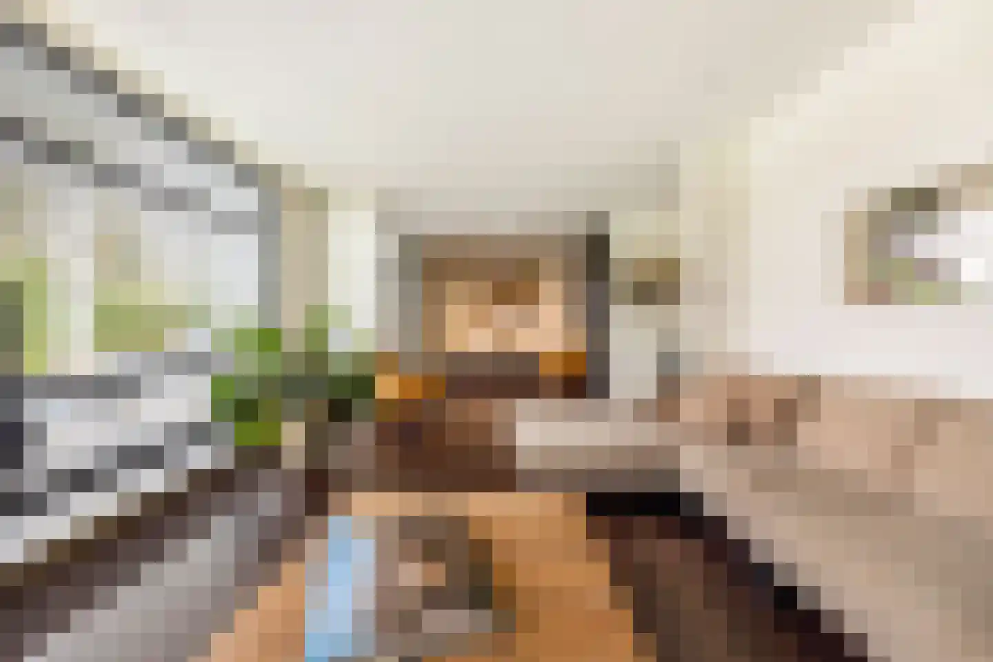 Beukenlaan 10 Valkenswaard thumbnail 8