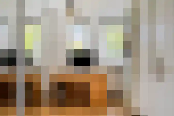 Beukenlaan 103 Borculo thumbnail 18