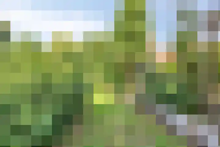 Beukenlaan 103 Borculo thumbnail 27