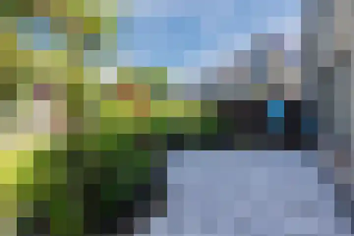 Beukenlaan 108 Bleiswijk thumbnail 10