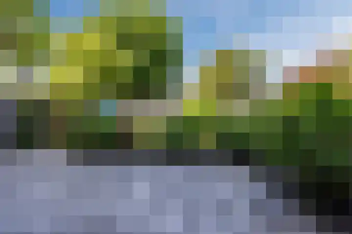 Beukenlaan 108 Bleiswijk thumbnail 11