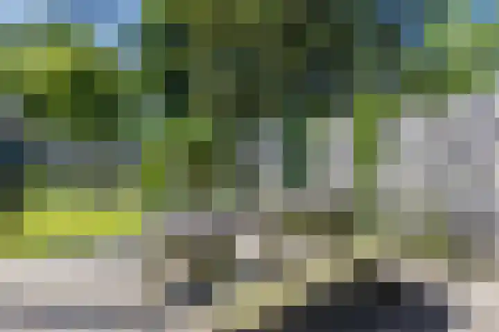 Beukenlaan 108 Bleiswijk thumbnail 12
