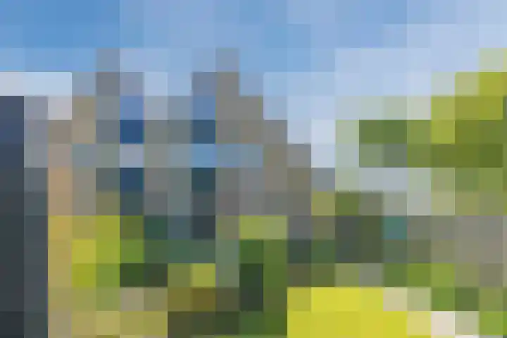Beukenlaan 108 Bleiswijk thumbnail 14