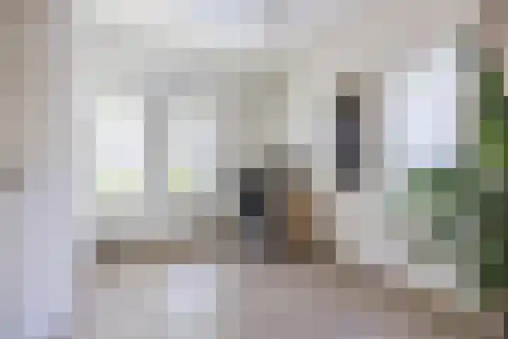 Beukenlaan 108 Bleiswijk thumbnail 22