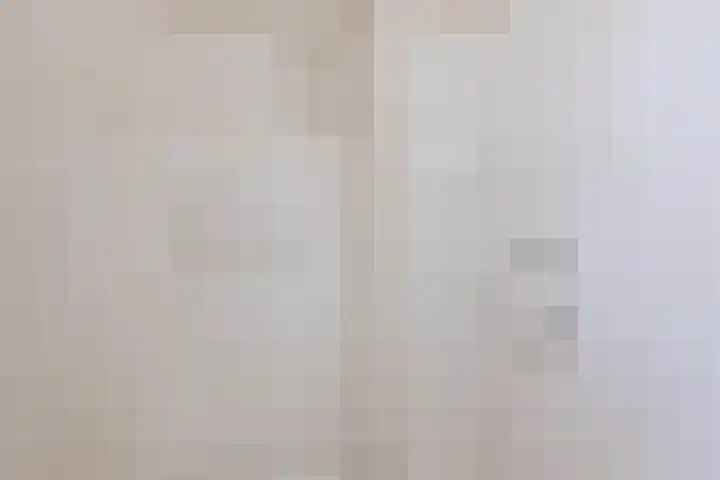 Beukenlaan 108 Bleiswijk thumbnail 38