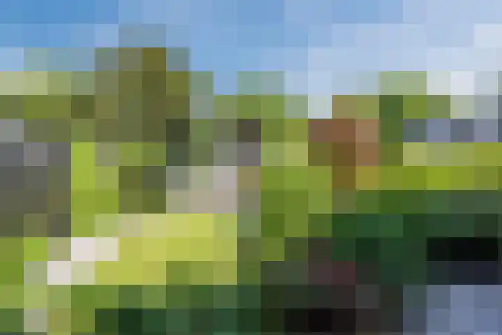 Beukenlaan 108 Bleiswijk thumbnail 45