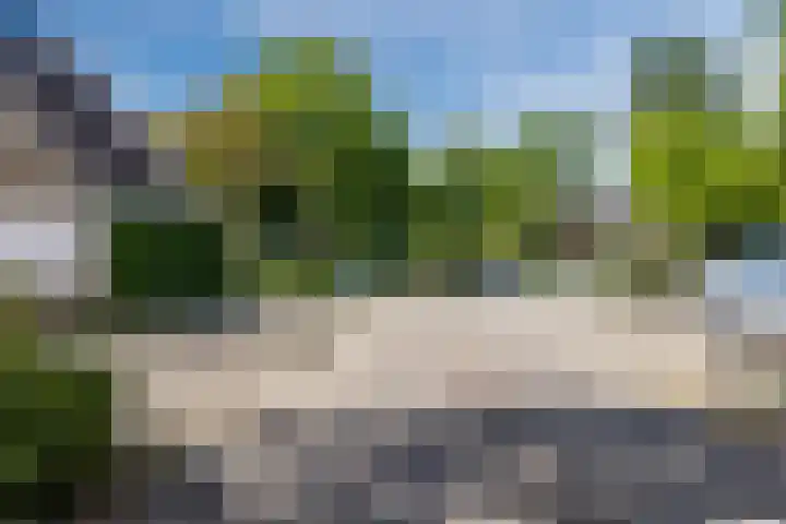 Beukenlaan 108 Bleiswijk thumbnail 46