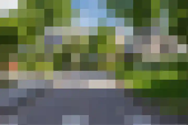 Beukenlaan 108 Bleiswijk thumbnail 47