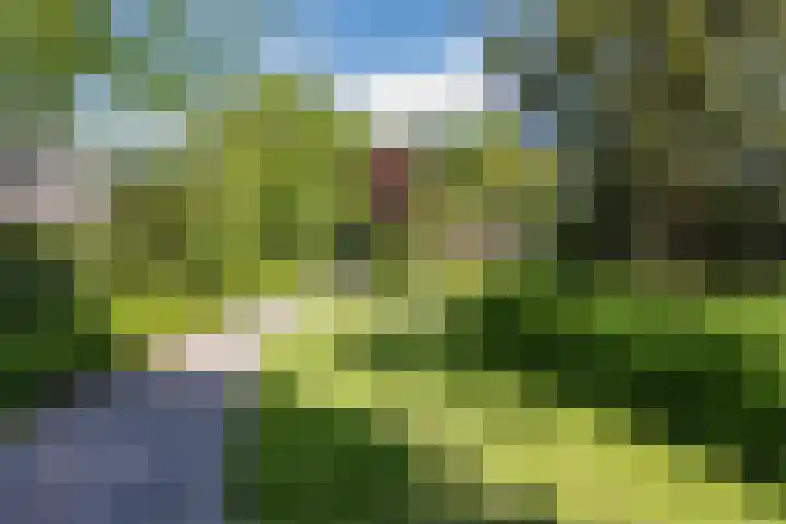 Beukenlaan 108 Bleiswijk thumbnail 49