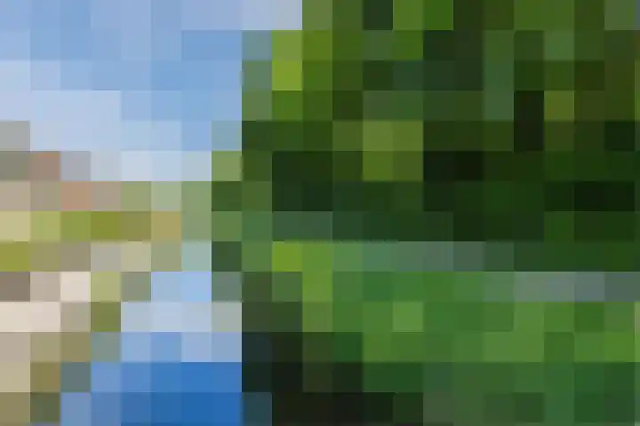 Beukenlaan 108 Bleiswijk thumbnail 50