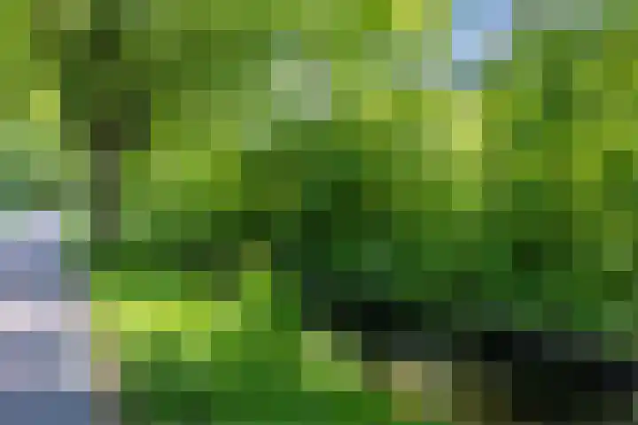 Beukenlaan 108 Bleiswijk thumbnail 51
