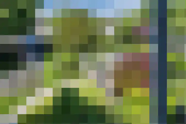 Beukenlaan 108 Bleiswijk thumbnail 8