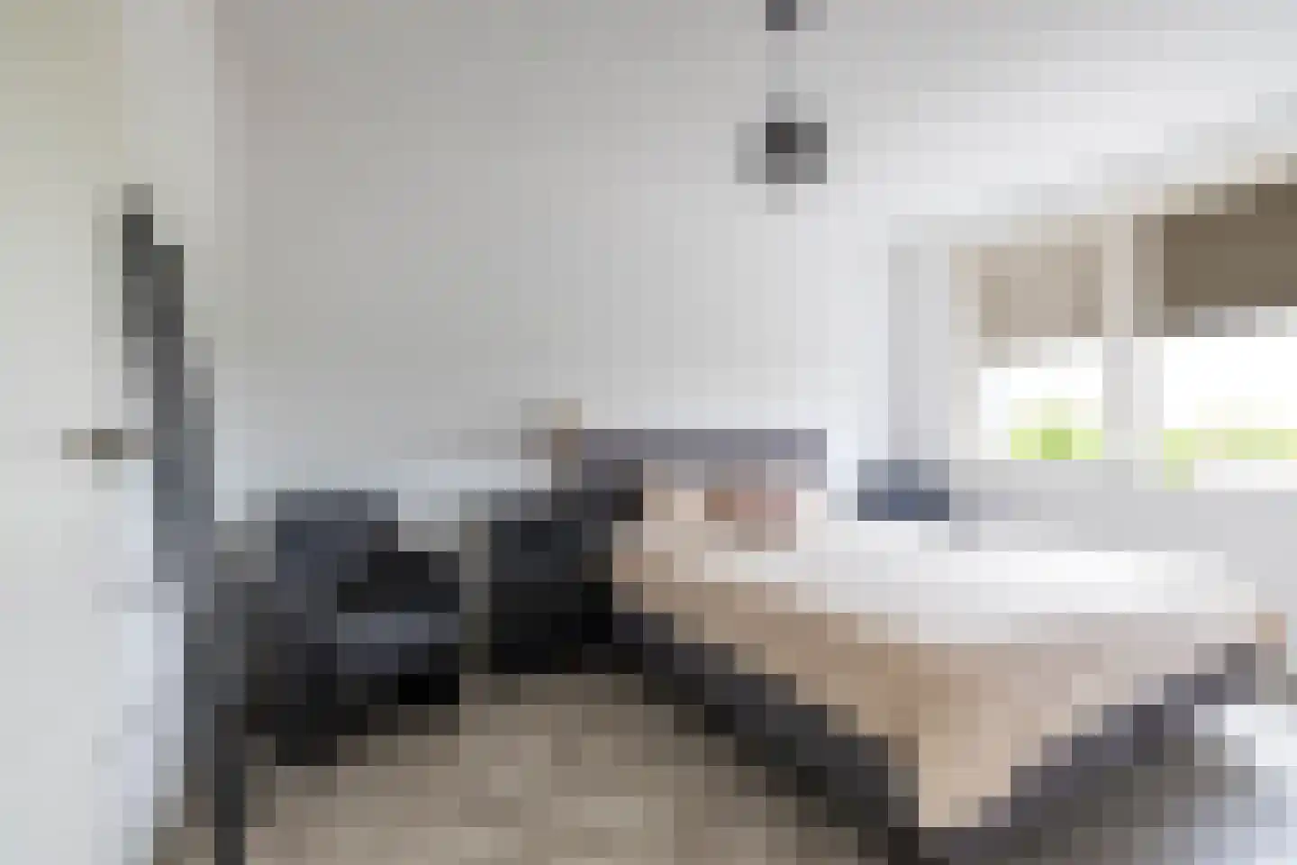 Beukenlaan 109 Appingedam thumbnail 15